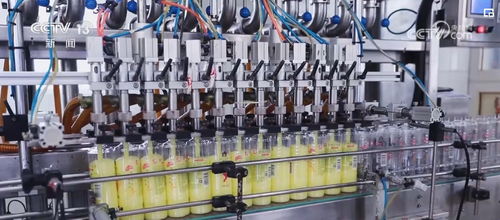 透過數(shù)據(jù)看變化，雙11購物熱彰顯消費市場活力與電子商務服務提升